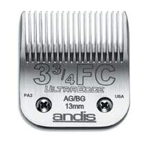 16064135 64135_web_1.jpg