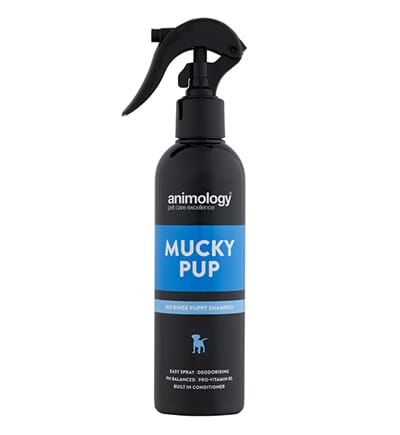 2101012 Animology 17.2.17215844_600_600.jpg