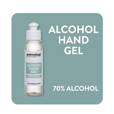 2101055 Alcohol-Hand-Gel.jpg