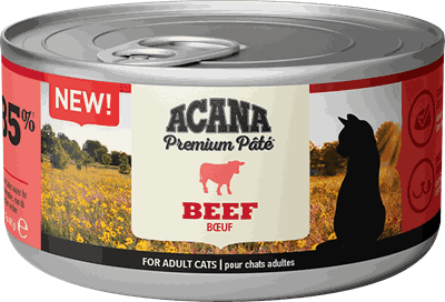 1068 ACANA Premium Pate Wet Cat Beef Front 85g EMEA_1.png