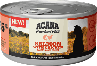 1072 ACANA Premium Pate Wet Cat Salmon With Chicken Front 85g EMEA_1.png