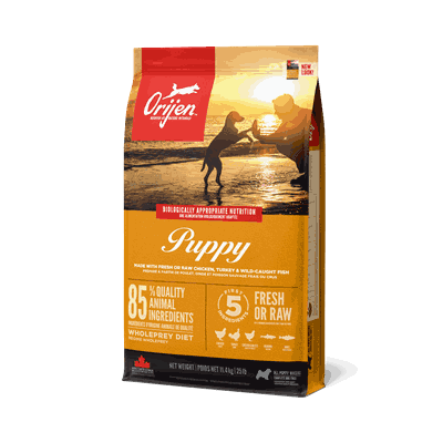 1001 ORIJEN Puppy Front Left 11.4kg Canada EMEA APAC.png