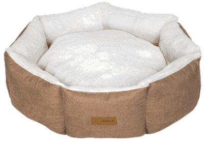 305-6 Cupcake brun_1.png