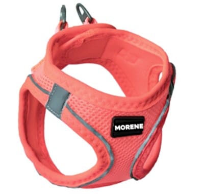 Sele ORANSJ med Morene logo.jpg