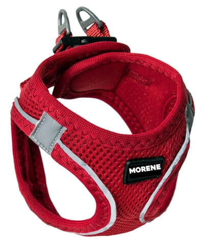 Sele rød med logo.jpg