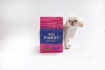 1004124764 TSC764R Inside Studio Toy Dog breed Shih Tzu Finest Toy 1.5Kg Rebrand (2)_1.jpg
