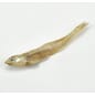 SPT100_Sprat_loose (2).jpg