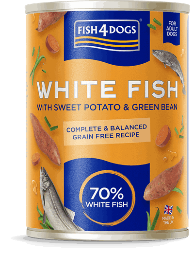 DWC400 White Fish (4).png