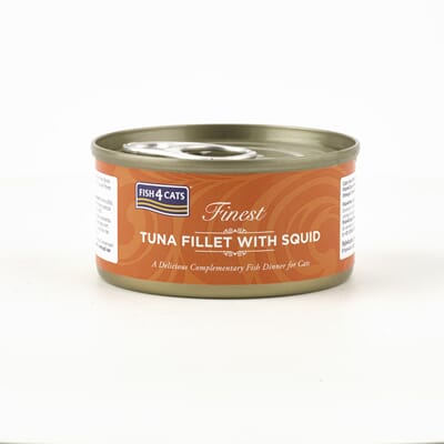 1004170059-CTW059X6 Tuna Fillet with Squid.jpg