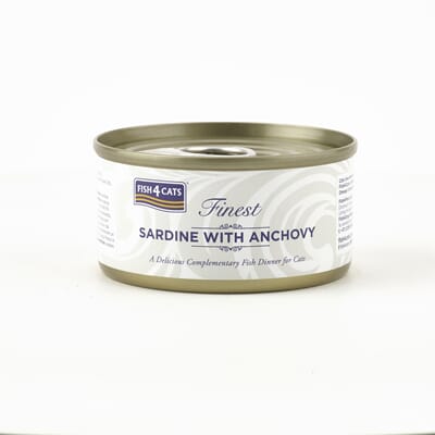 1004174859-CSW859X6 Sardine with Anchovy.jpg