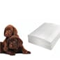 DP6060_Rel Doggie pad valper.jpg