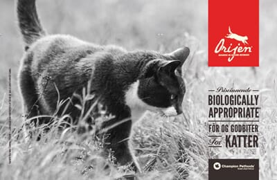 1991011 Orijen cat katalog_1.jpg
