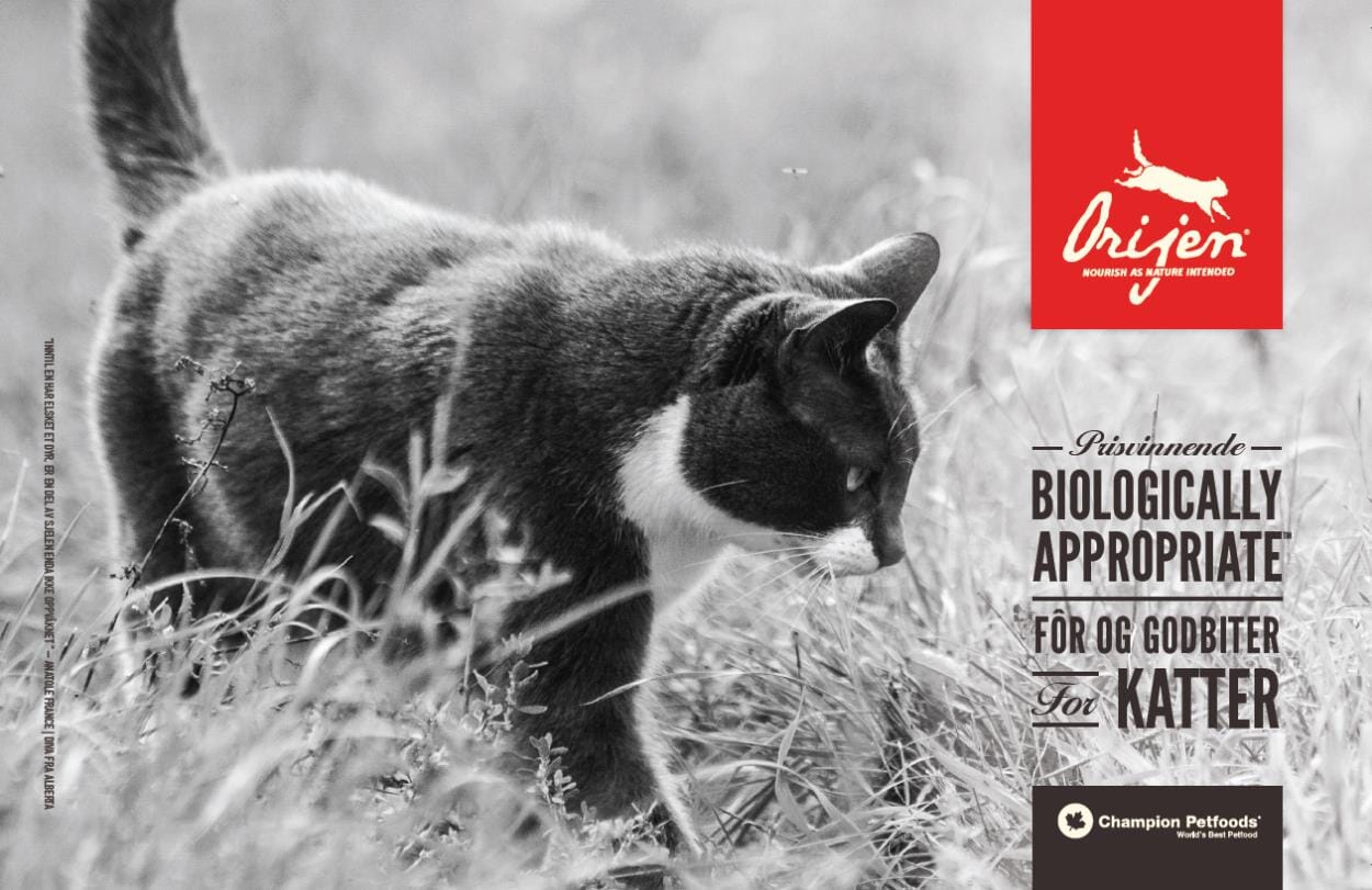 Orijen Katalog Katt Morene Produkter