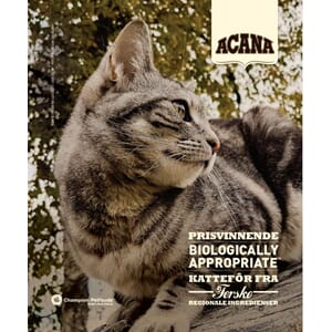 Acana Katalog Katt